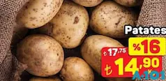 PATATES KG fiyat ve kampanya bilgisi